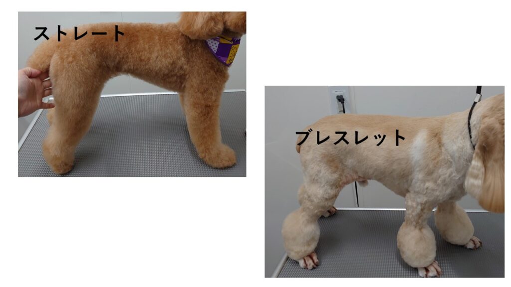 ストレートカットとブレスカットカット